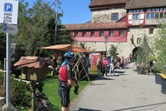 IMG_20230905_140757_Bruno