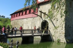 IMG_20230905_140936_Bruno