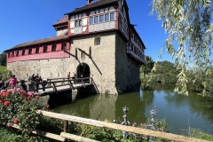 IMG_20230905_150916_Urs