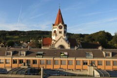 IMG_20230905_180644_Bruno