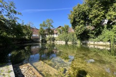 IMG_20230906_102112_Urs