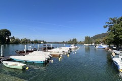 IMG_20230906_113742_Urs