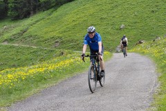 IMG-20260531-WA0003
